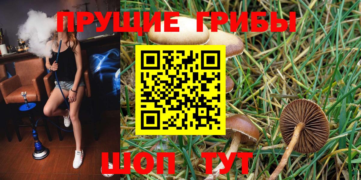 Калач-на-Дону  Псилоцибиновые грибы ЛСД  Вход с VPN 